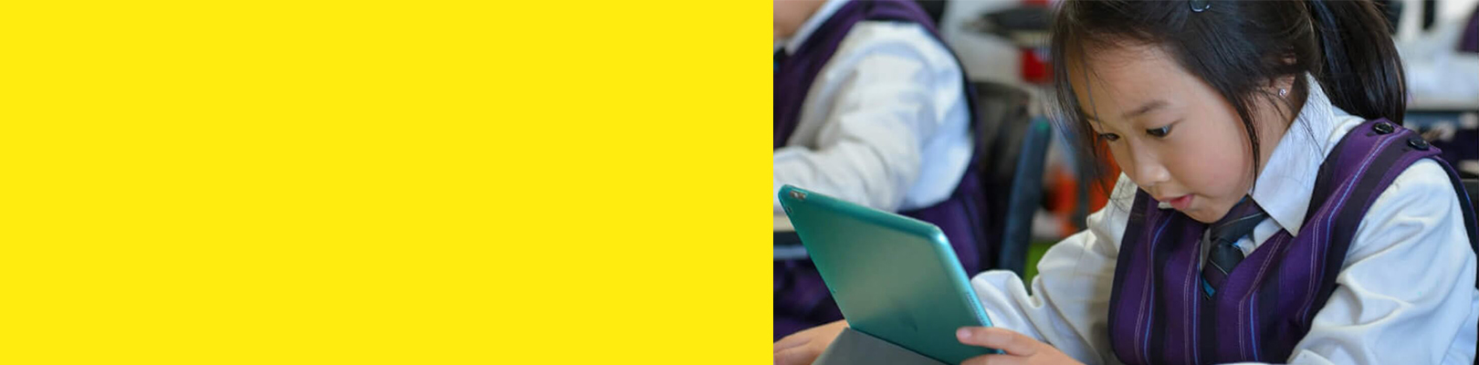 Southern Cross Grammar case study